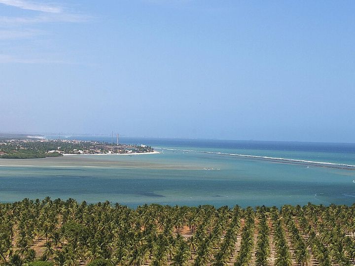 Vista aérea da Barra de São Miguel e da Praia do Gunga entre coqueirais