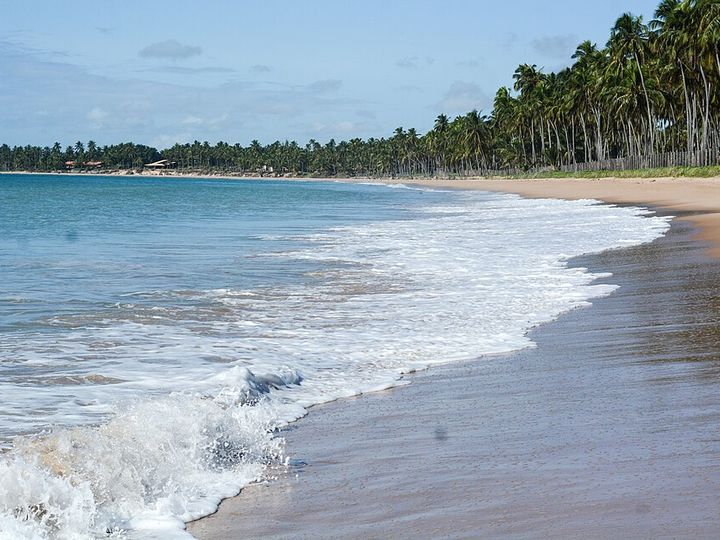 Ondas e coqueiral na praia de Ipioca, no litoral norte de Maceió